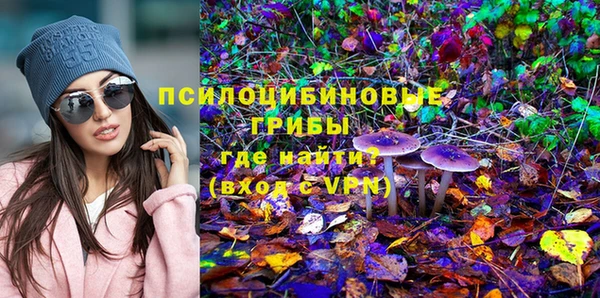 амф Белокуриха