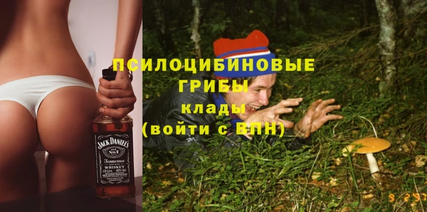 амф Белокуриха