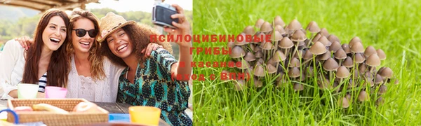амф Белокуриха