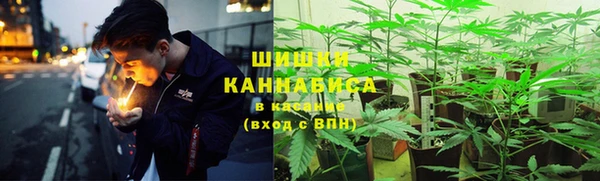 амф Белоозёрский