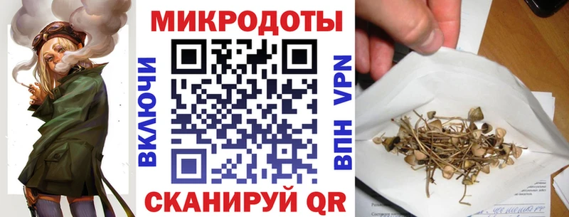 Псилоцибиновые грибы MAGIC MUSHROOMS  Купить закладки  Елизово 